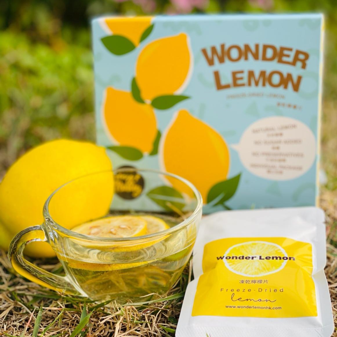 Freeze-Dried Lemon Slices- 12packs (2pcs)  - Printed Box